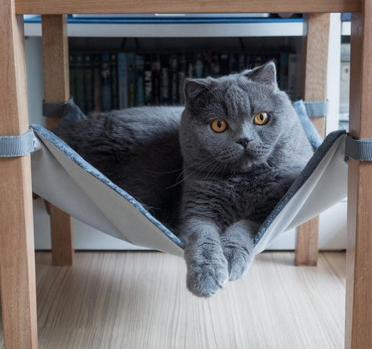 JUNGLE Saveplace® hammock for pets & storage