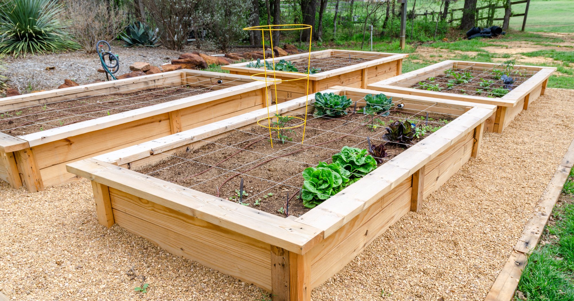 How to start a small vegetable garden